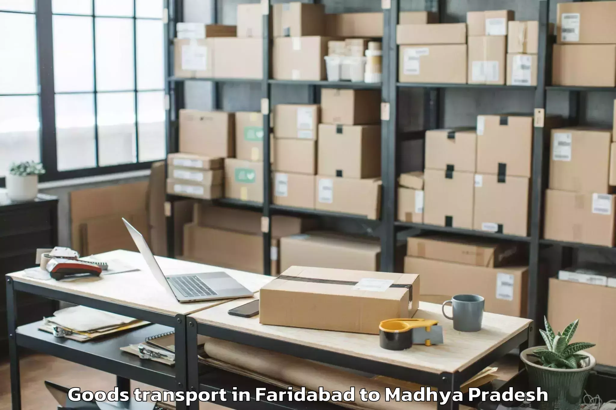 Quality Faridabad to Gwalior Airport Gwl Goods Transport